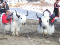 himachal-lakes, lake himachal pradesh, himachal pradesh lakes, lake of himachal